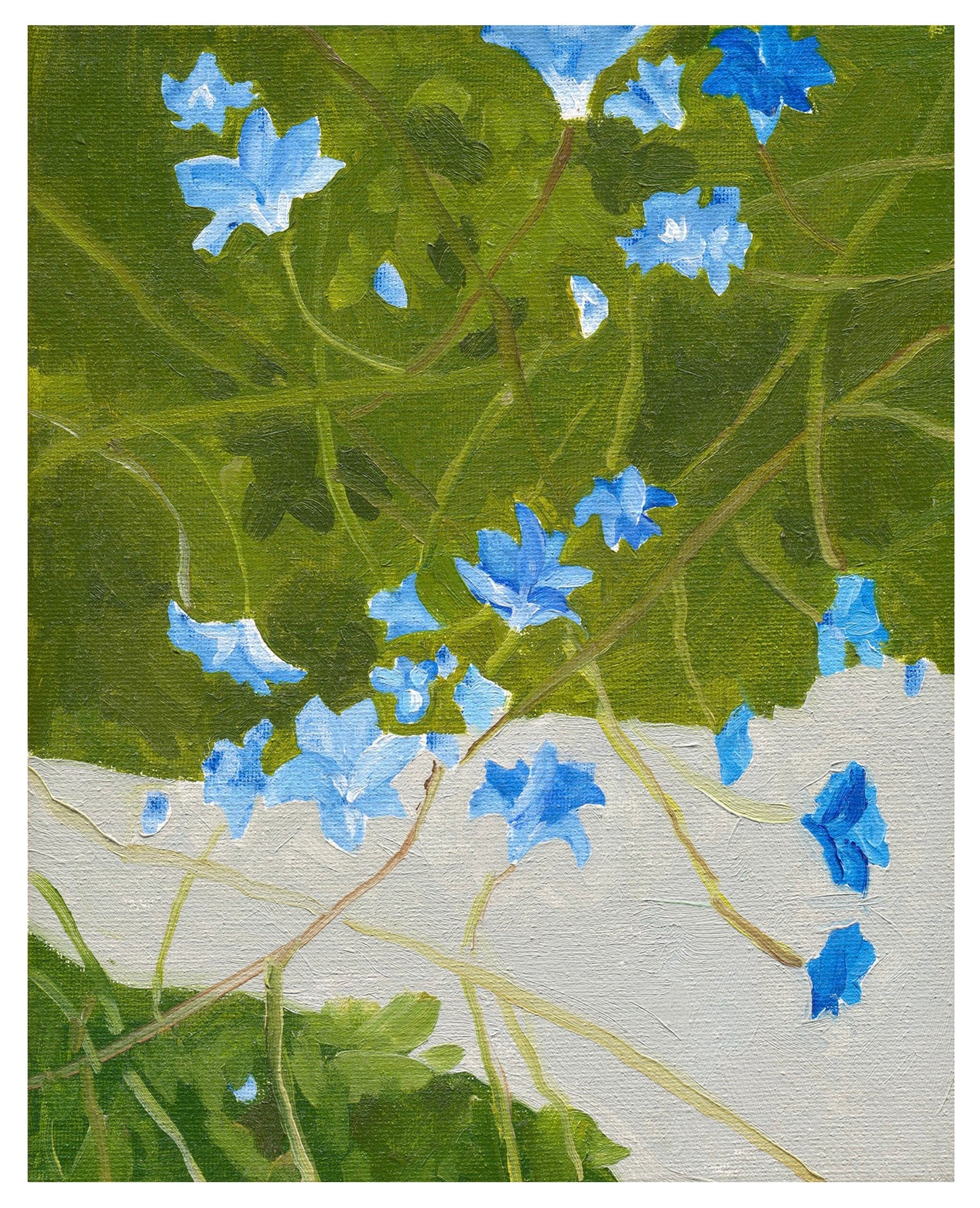 Wild Blues - Print