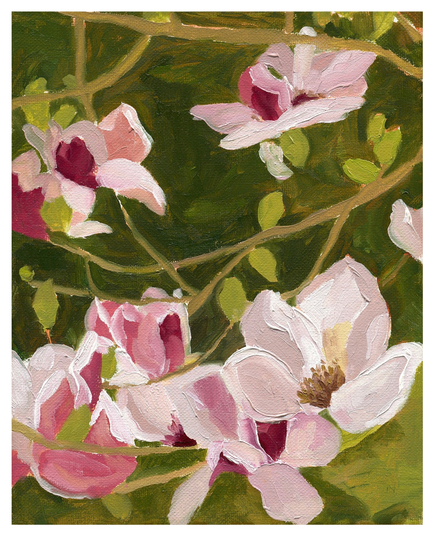 Magnolias - Print