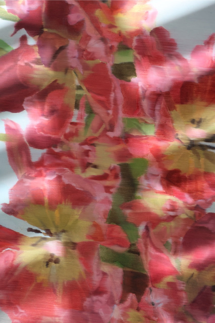 Studies in Spring II