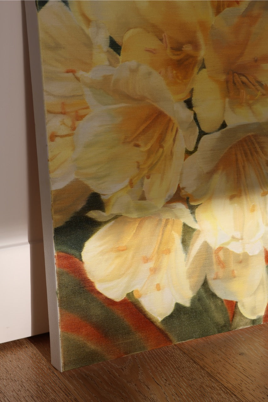 Studies in Spring I
