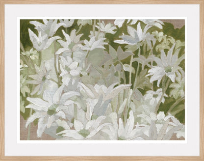 Flannel Flowers - Print