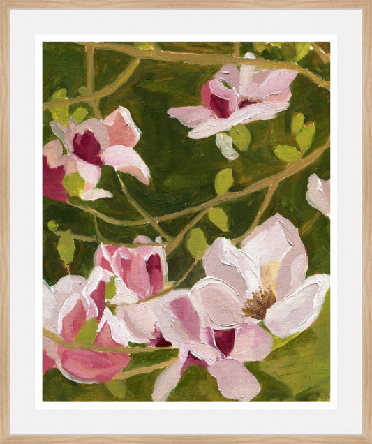 Magnolias - Print