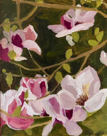 Magnolias